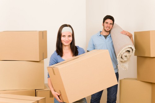 Boxes and household items organized in a Southgate storage unit
